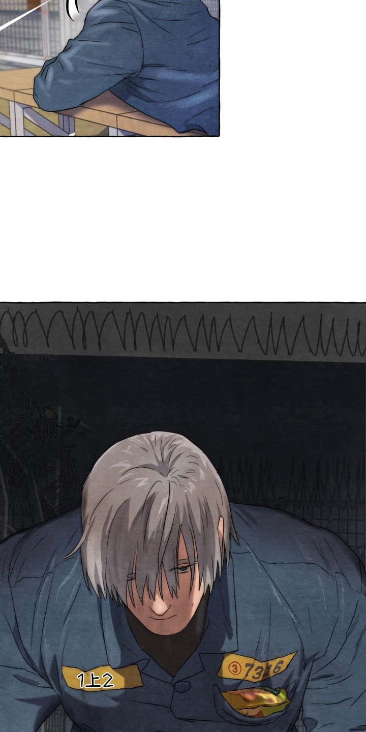 第11话：关注点预览分镜