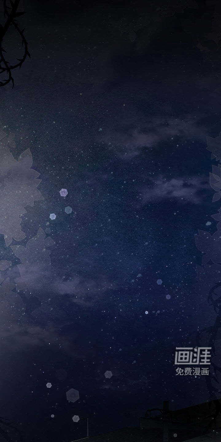 第71章:【第二季】朋友