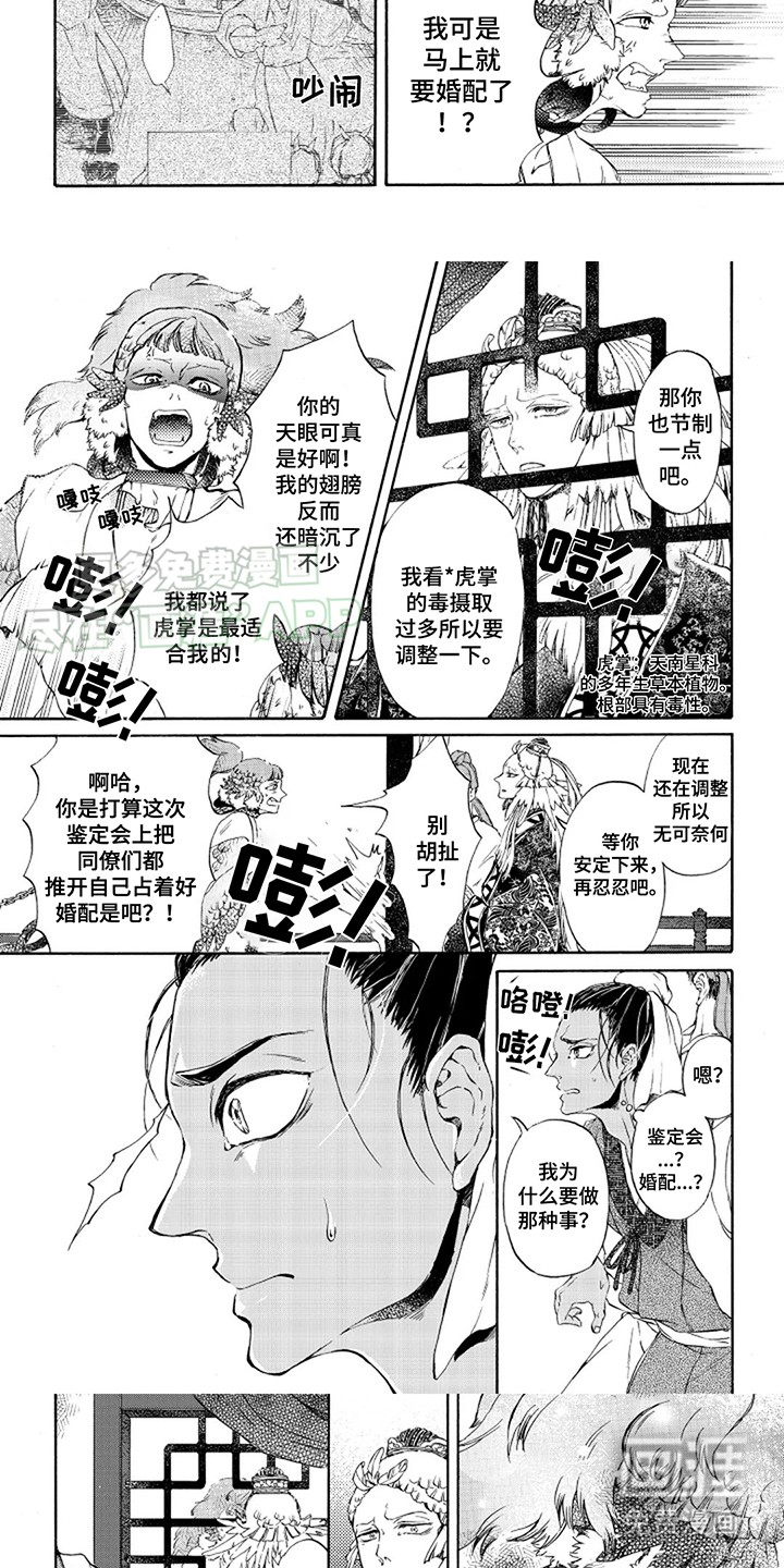 第4话：第4章：冷静点预览分镜