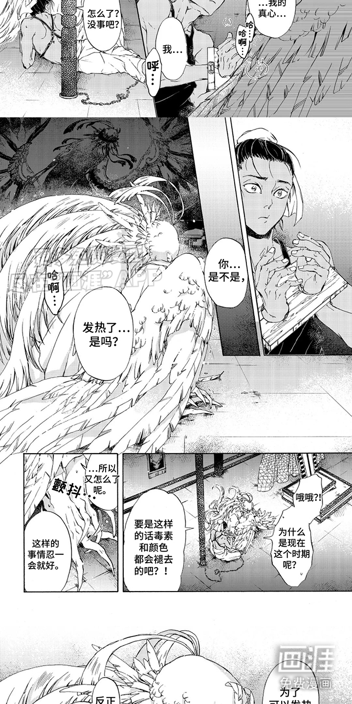 第9话：第9章：帮忙预览分镜