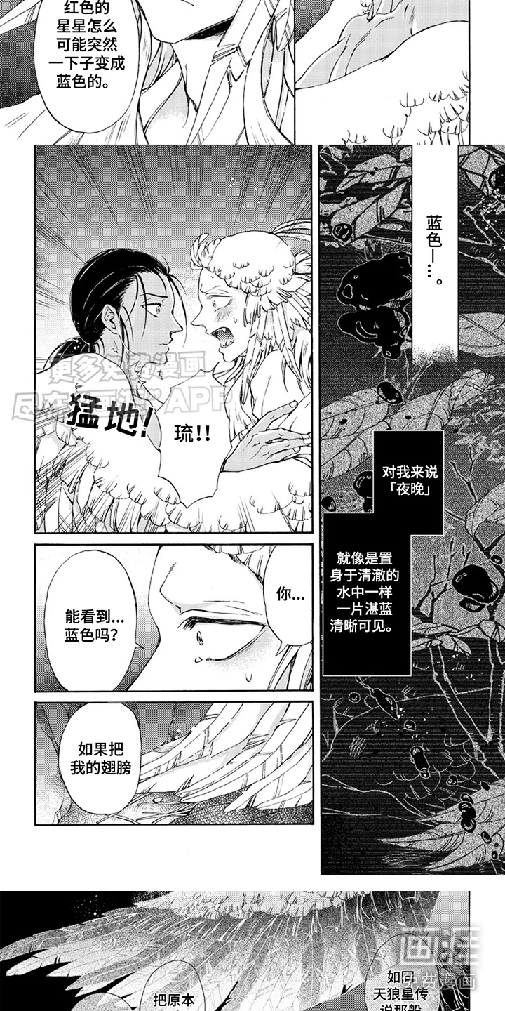 第18话：第18章：信预览分镜