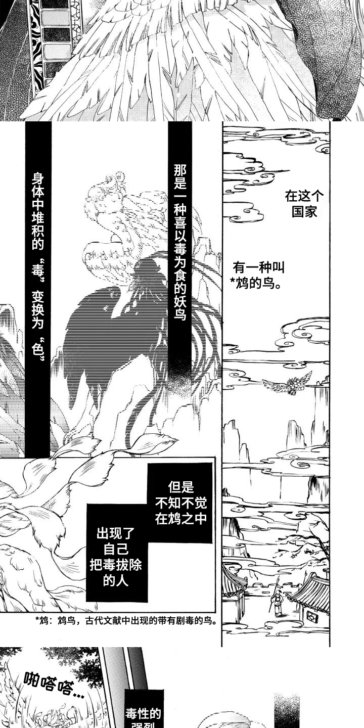 第1话：鸠鸟预览分镜