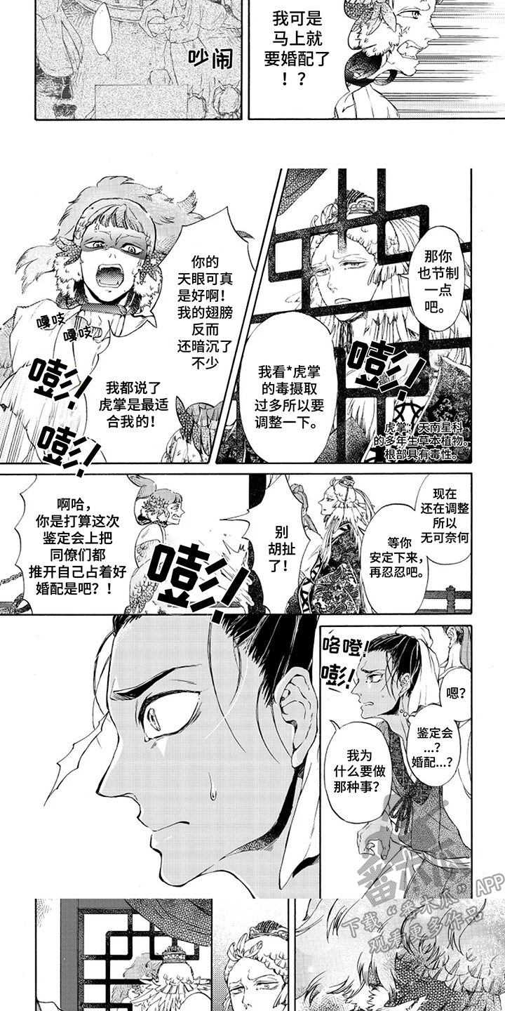 第4话：冷静点预览分镜