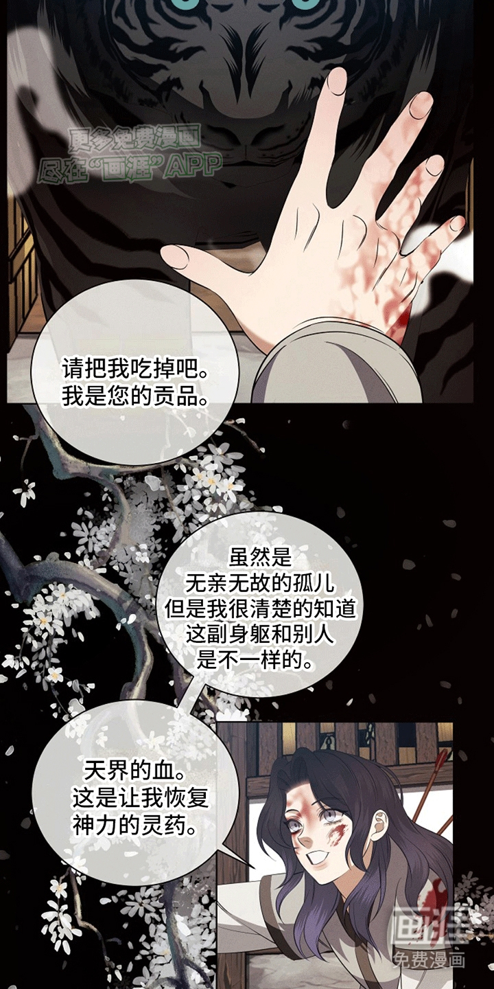 第1话：第1章：惩罚预览分镜