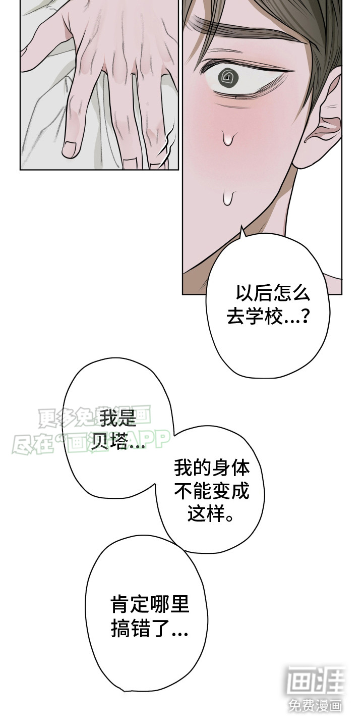 第12话：第12章：冷静点预览分镜