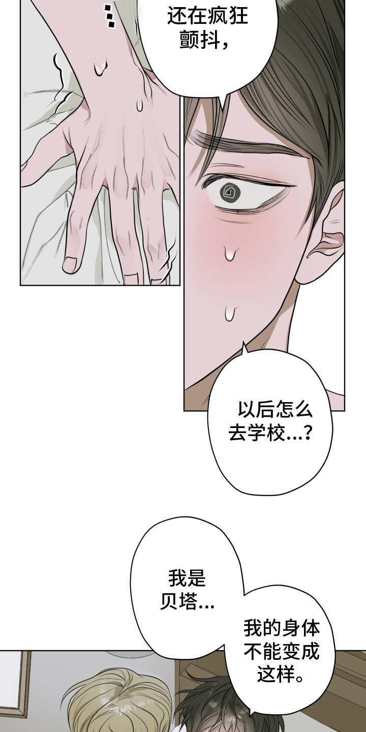 第13话：冷静点预览分镜