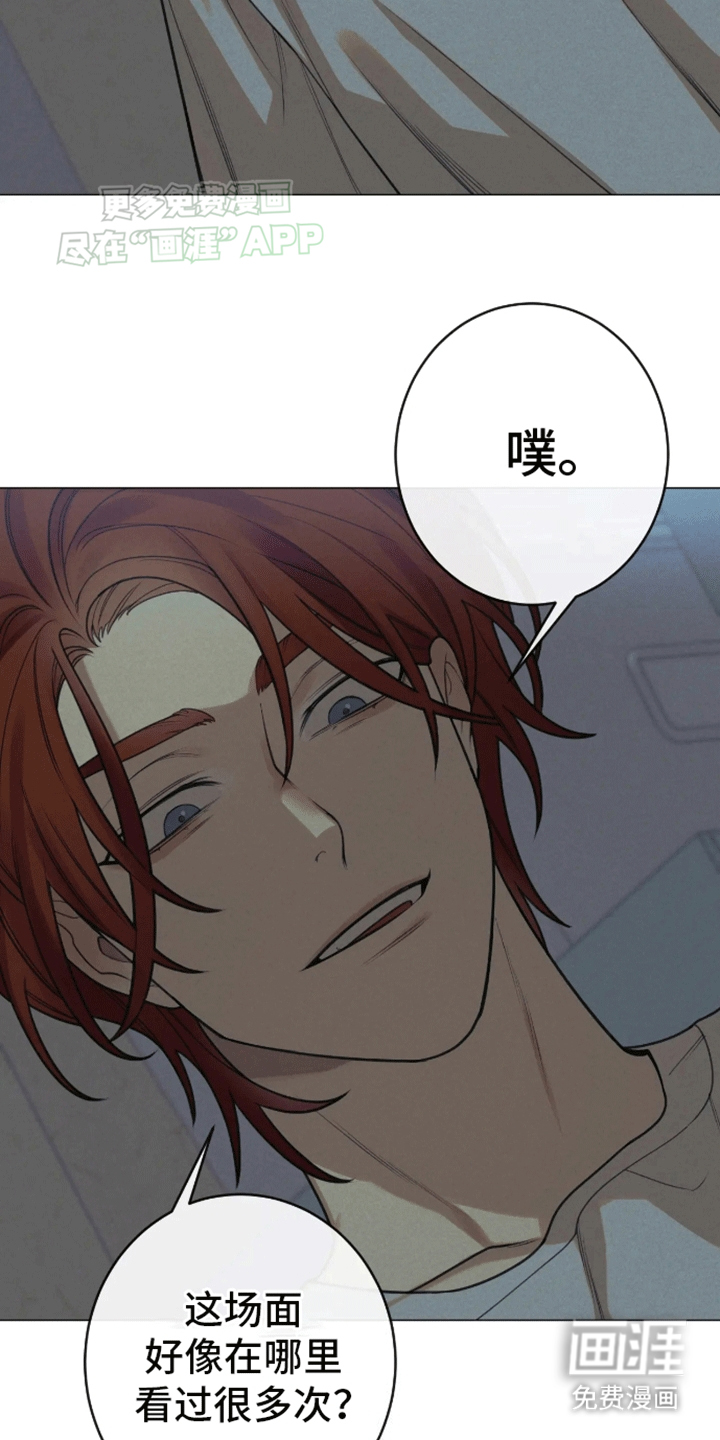 第14话：第14章：伴侣预览分镜
