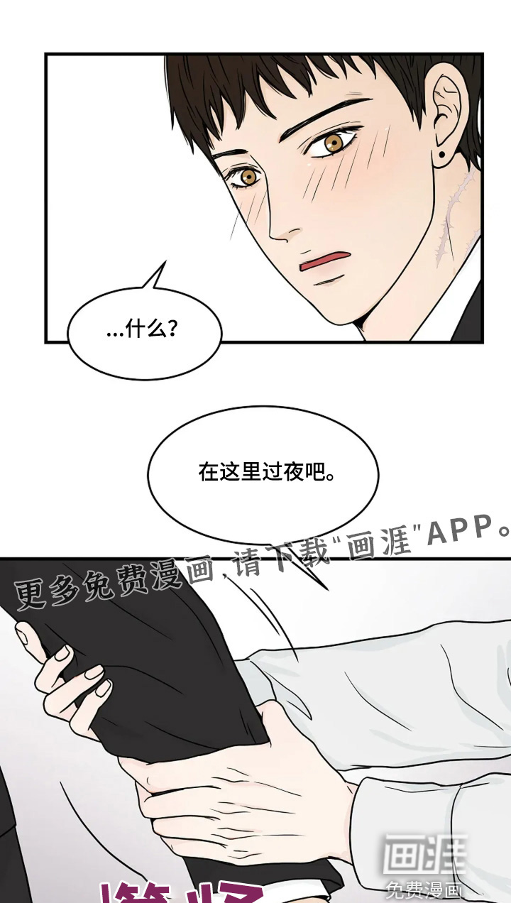 第67章:我的全部记忆