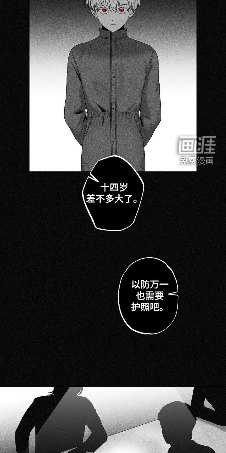 第79章:【第二季】怀孕