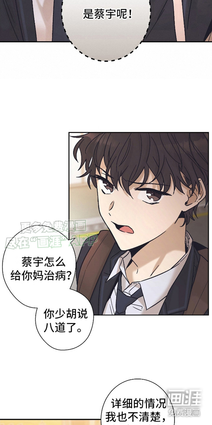第4话：第4章：愤怒预览分镜