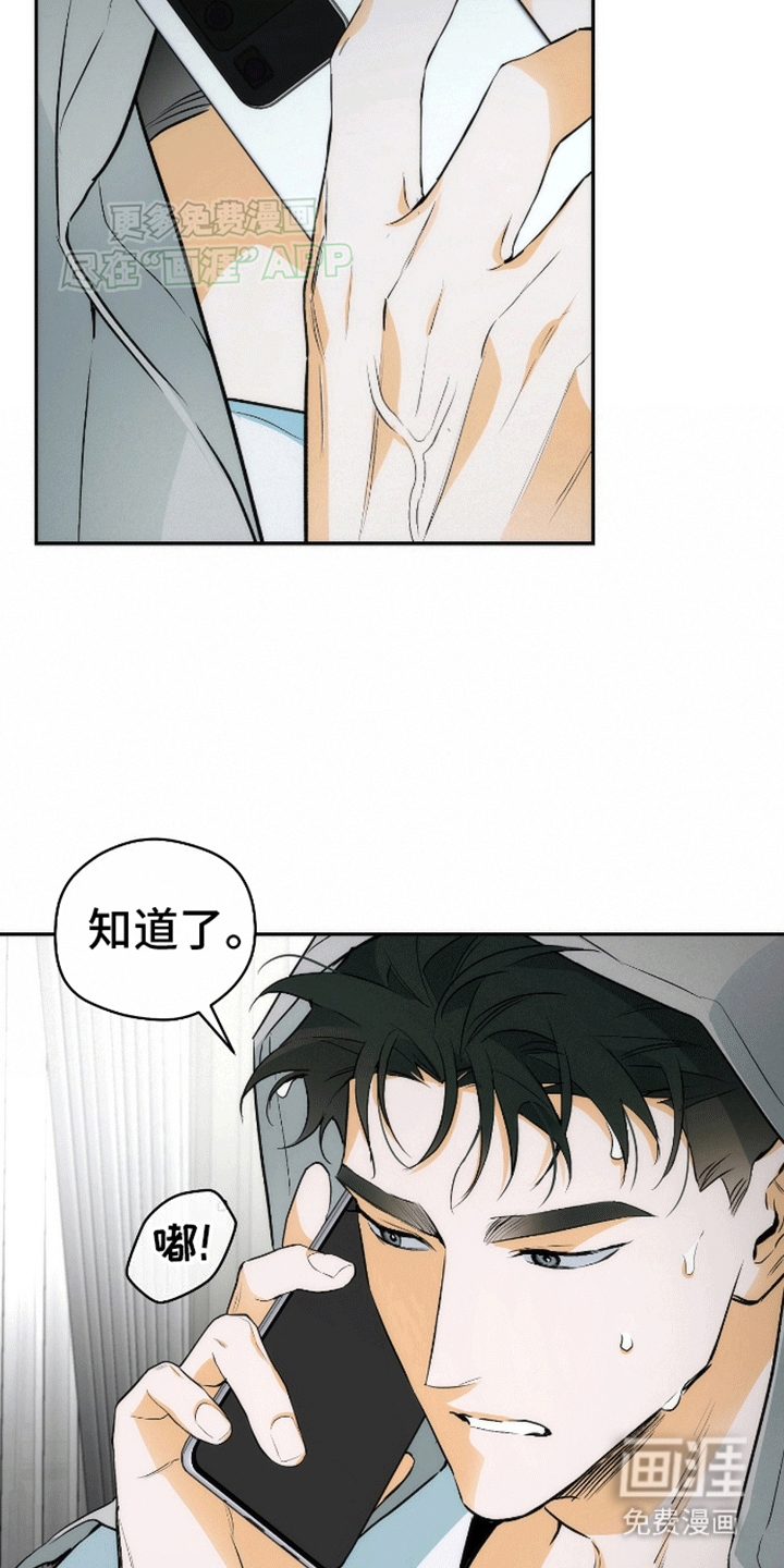 第15话：第15章：亲自调查预览分镜