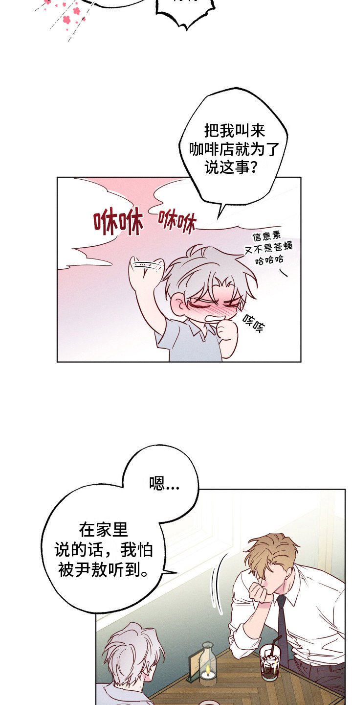 第6话：过分关心预览分镜