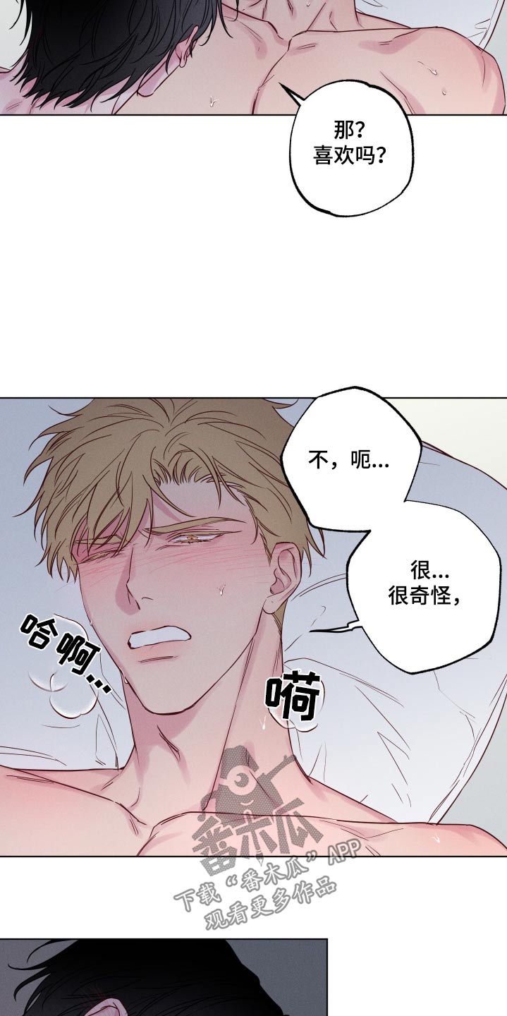 第12话：第12章：还不够预览分镜