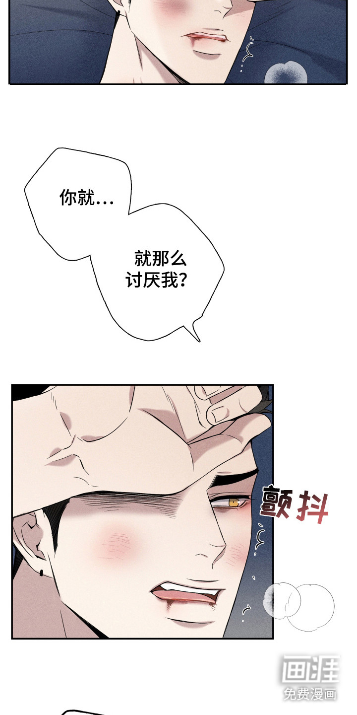 我等你(完结)