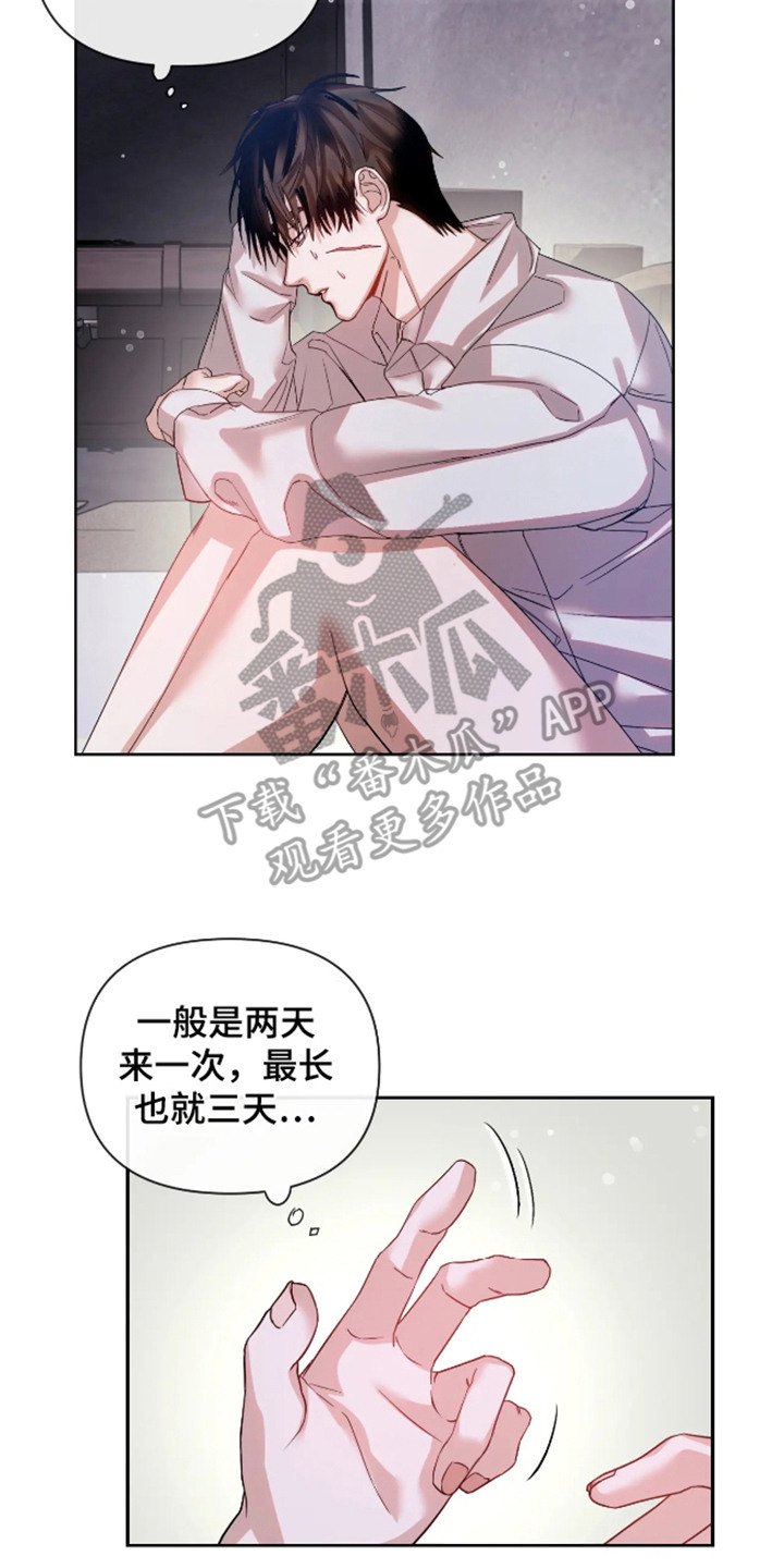 第60章:安乐窝:倾注爱意(完)