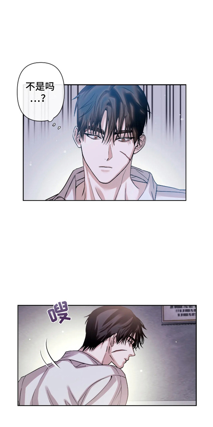 第60章:安乐窝:倾注爱意(完)