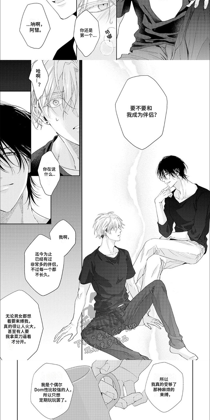 第4话：第4章：做我的伴侣预览分镜