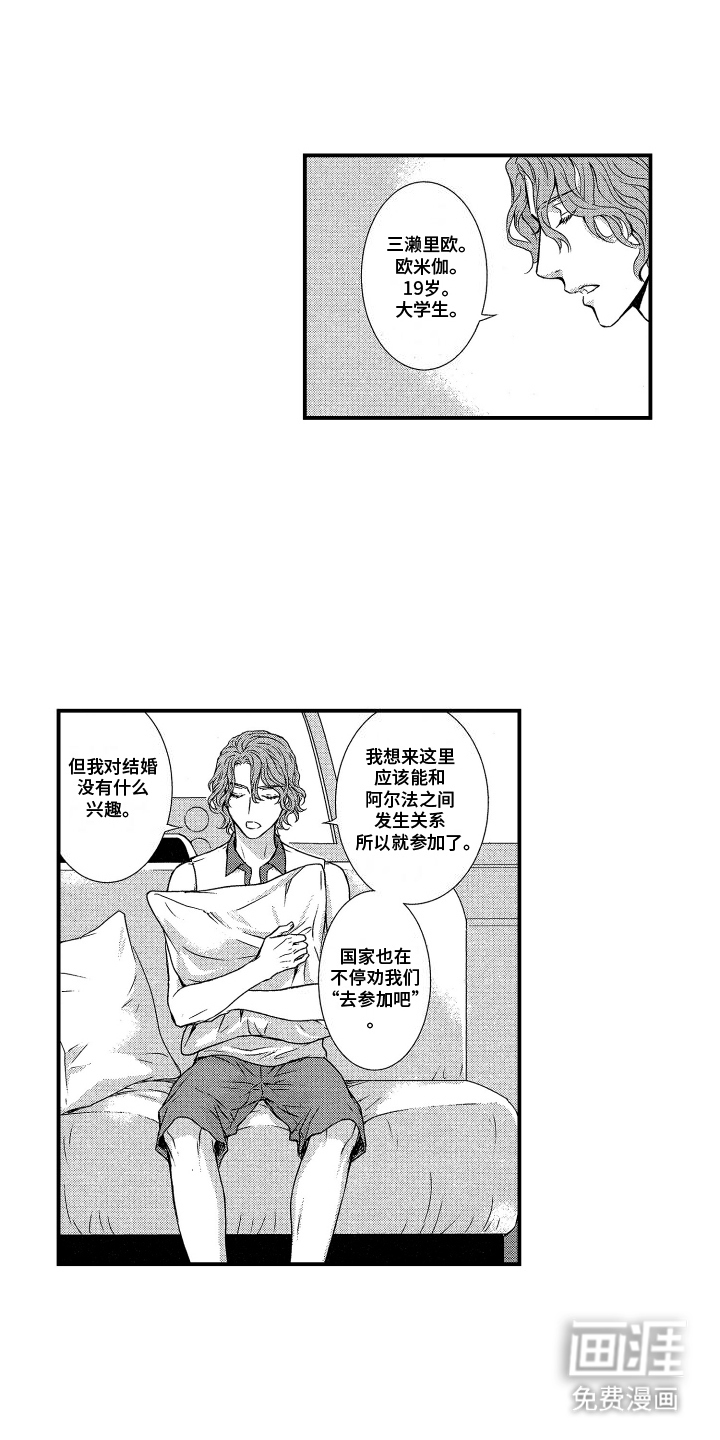 第6话：第6章：孤岛预览分镜
