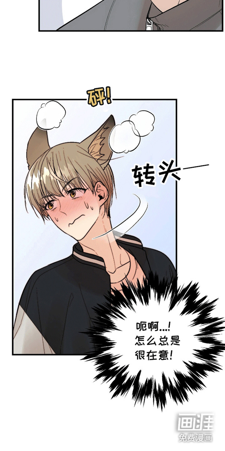 第15话：第15章：反客为主预览分镜