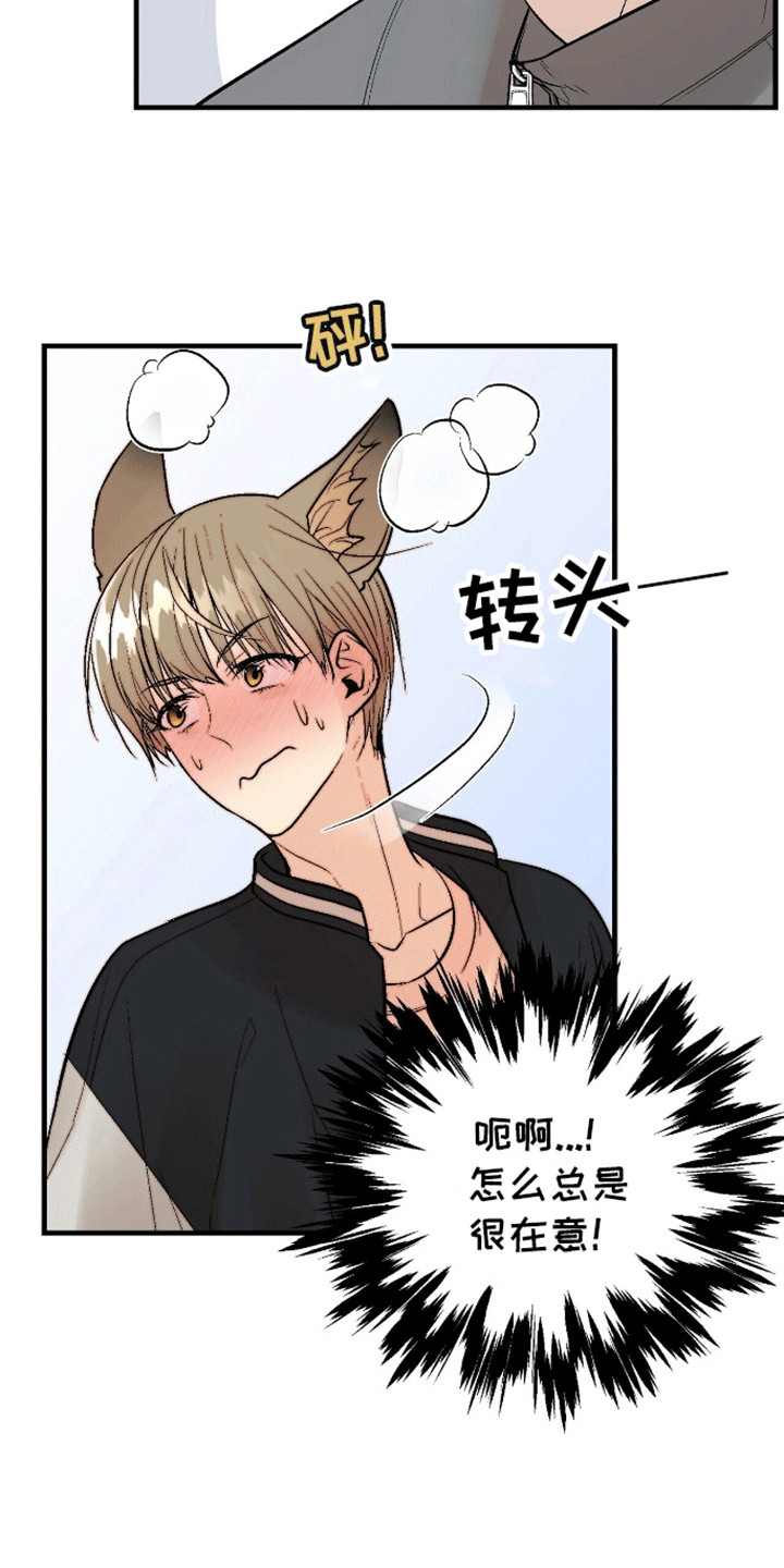第15话：第15章：反客为主预览分镜