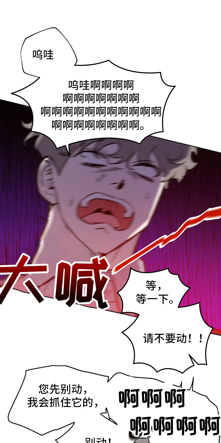 第4话：第4章：拒绝预览分镜