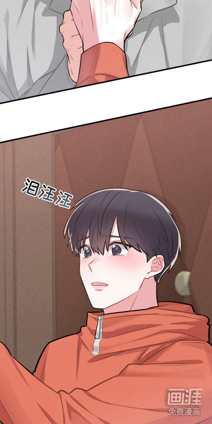 第11章:我们的故事(完结)