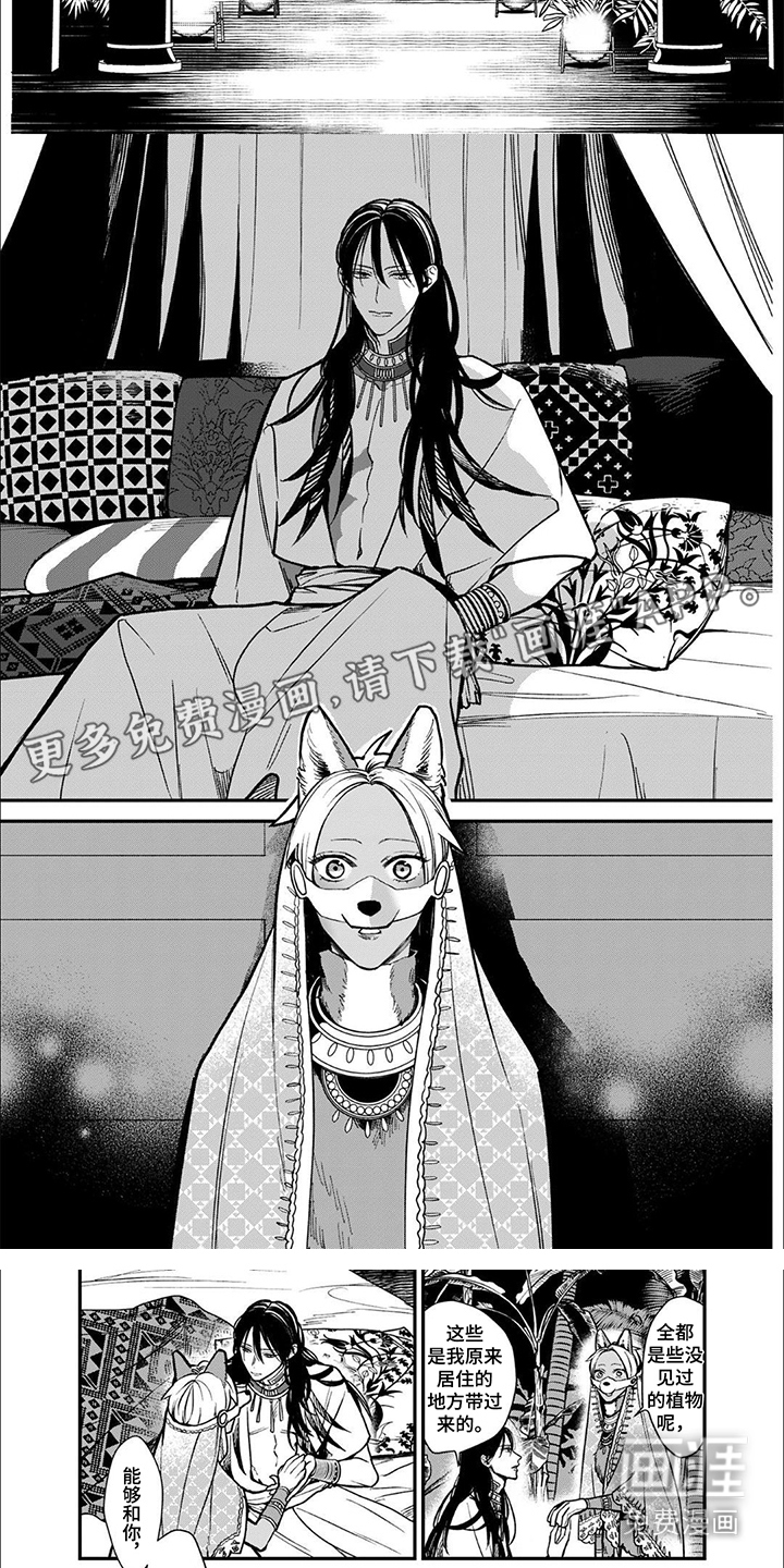 第7话：第7章：抱着预览分镜