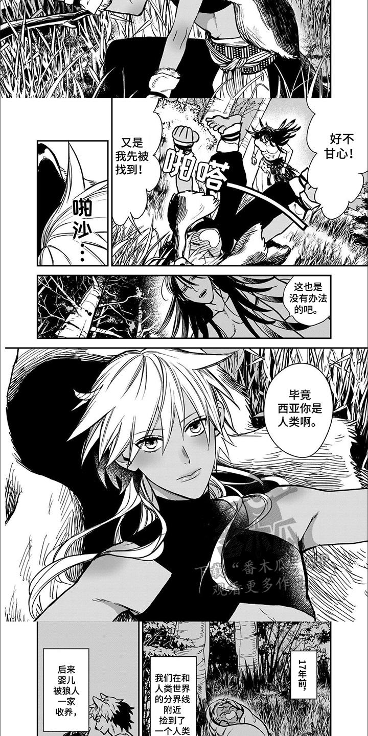 第1话：第1章：兽王预览分镜