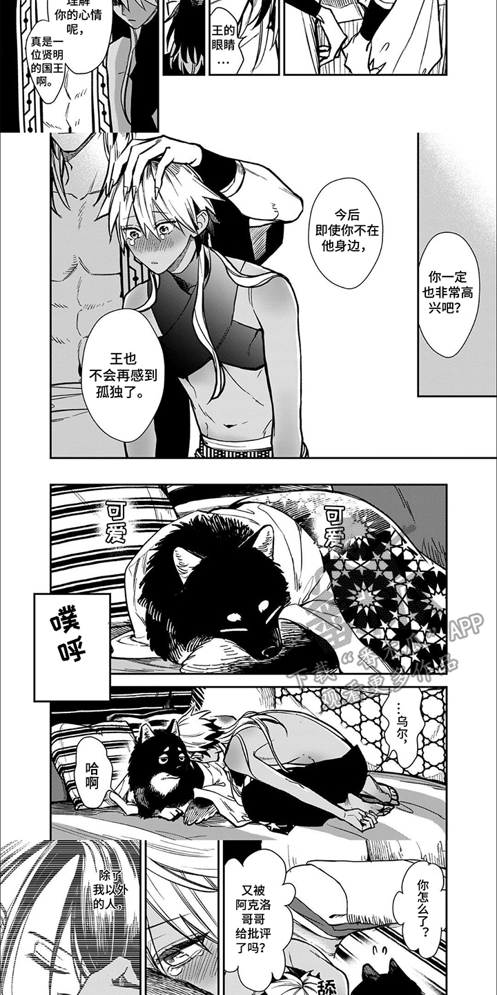 第3话：第3章：条件预览分镜