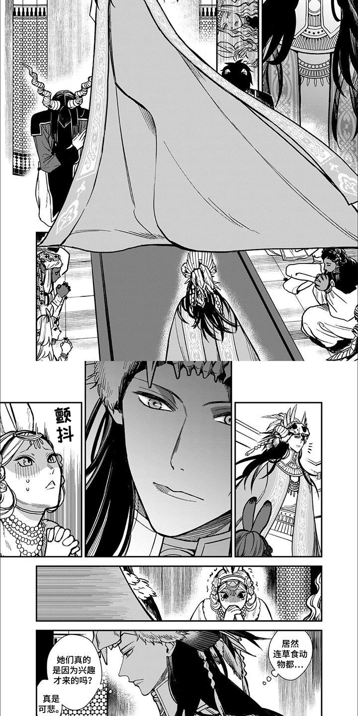 第4话：第4章：候选人预览分镜
