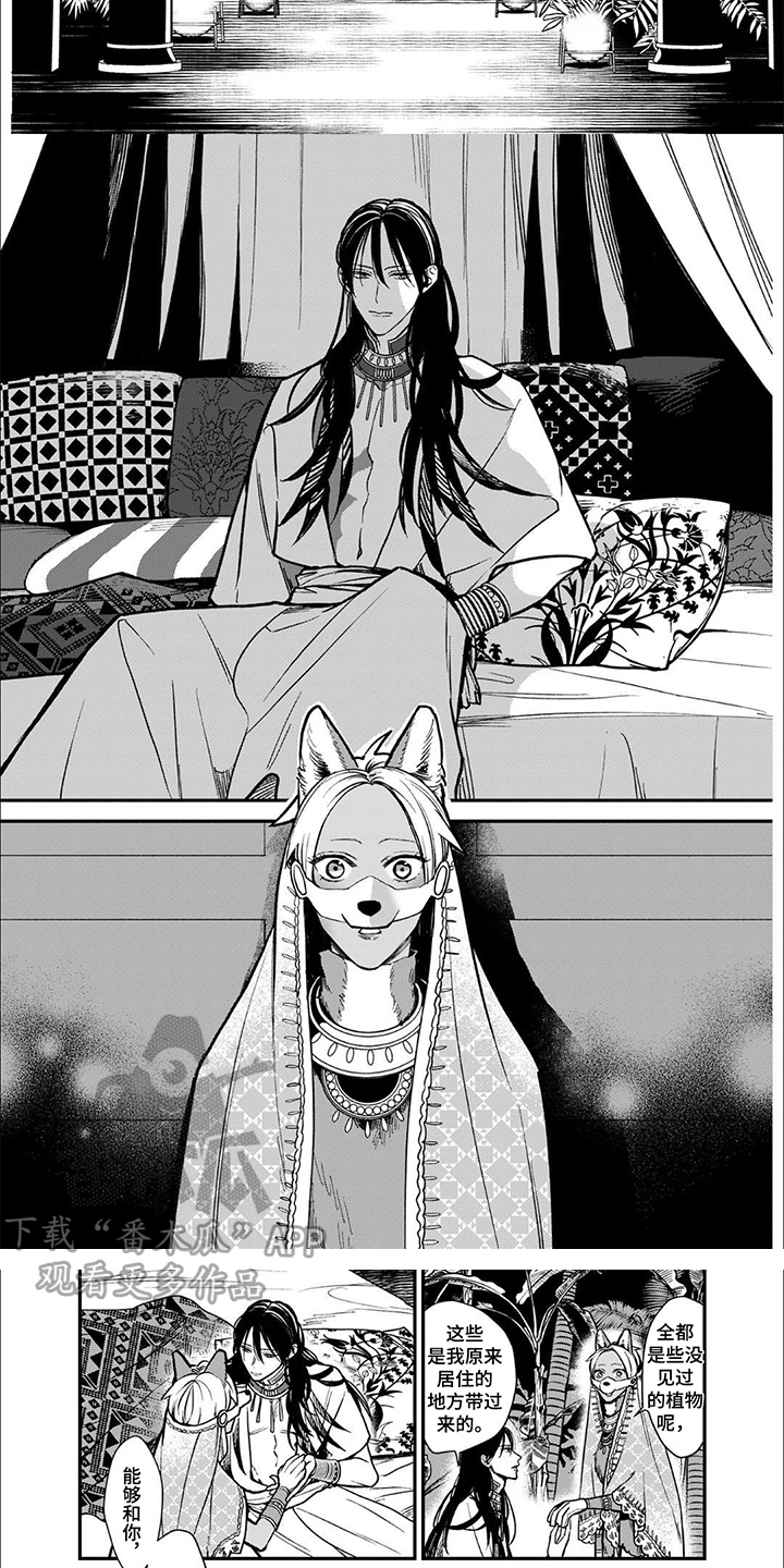 第7话：第7章：抱着预览分镜