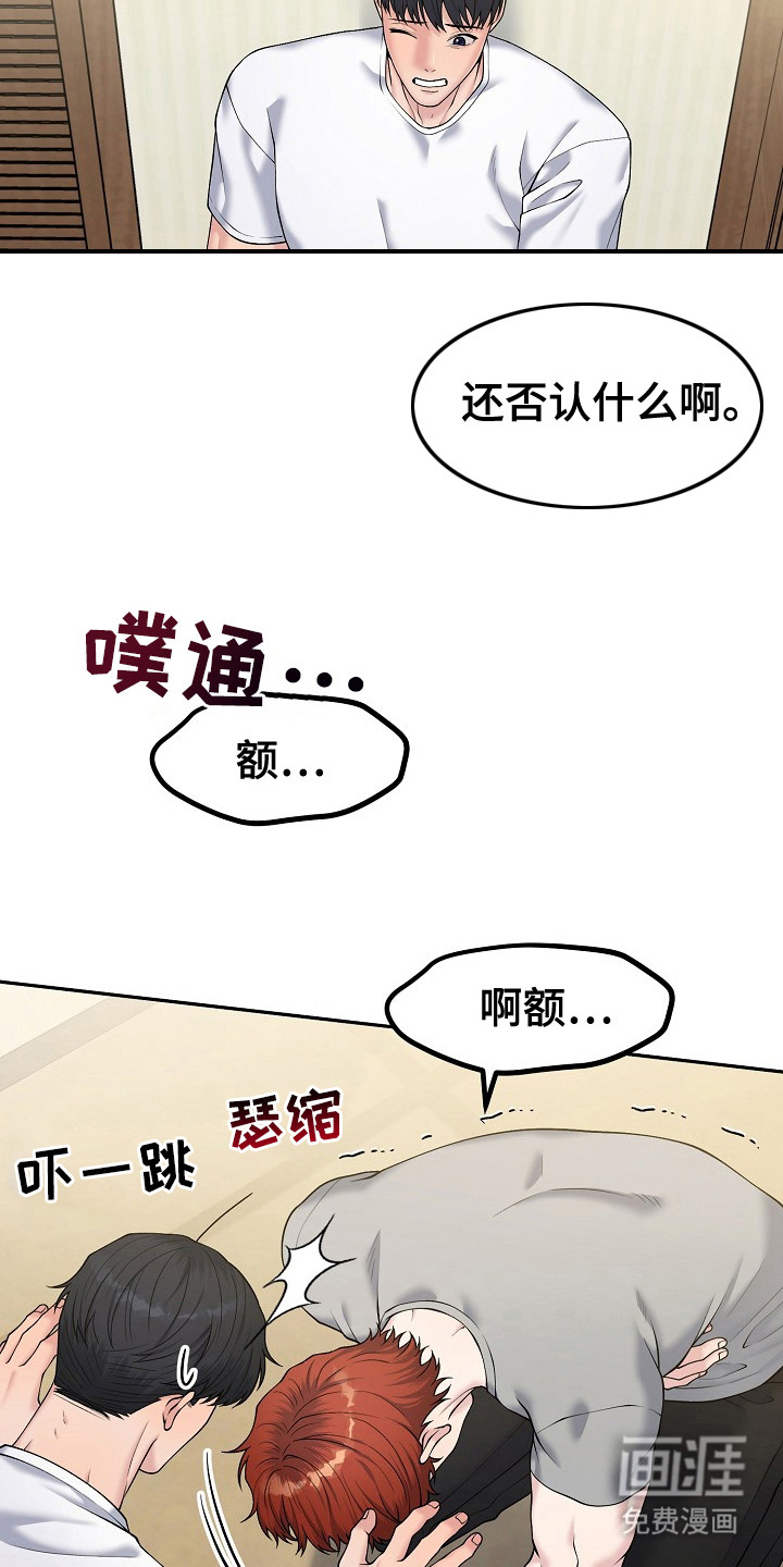 第13话：第13章：乡村奇遇：真心的预览分镜