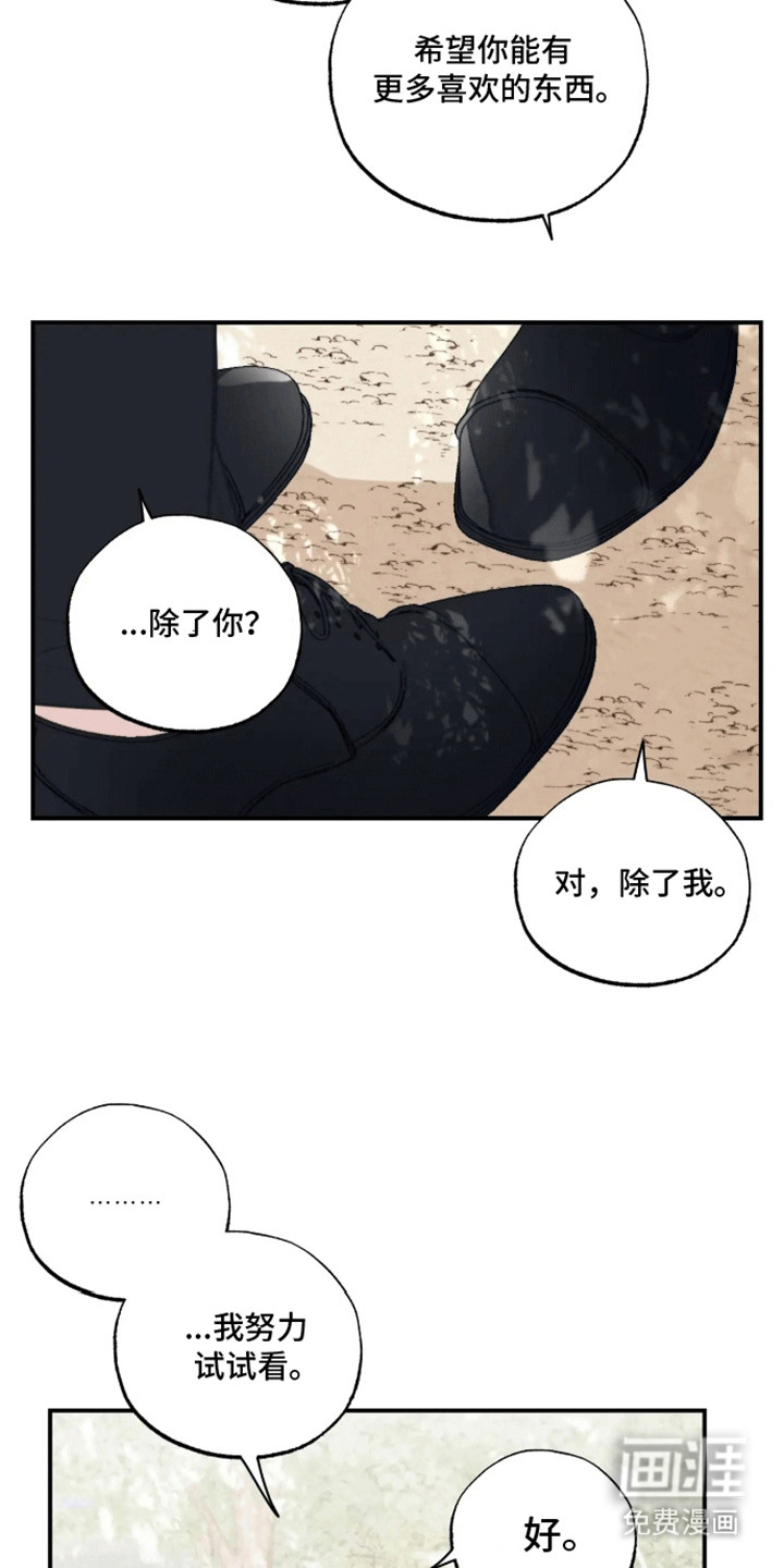第13话：第13章：最喜欢你预览分镜