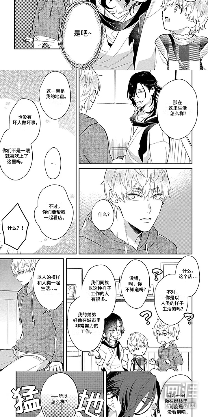 第7话：第7章：状态不对预览分镜