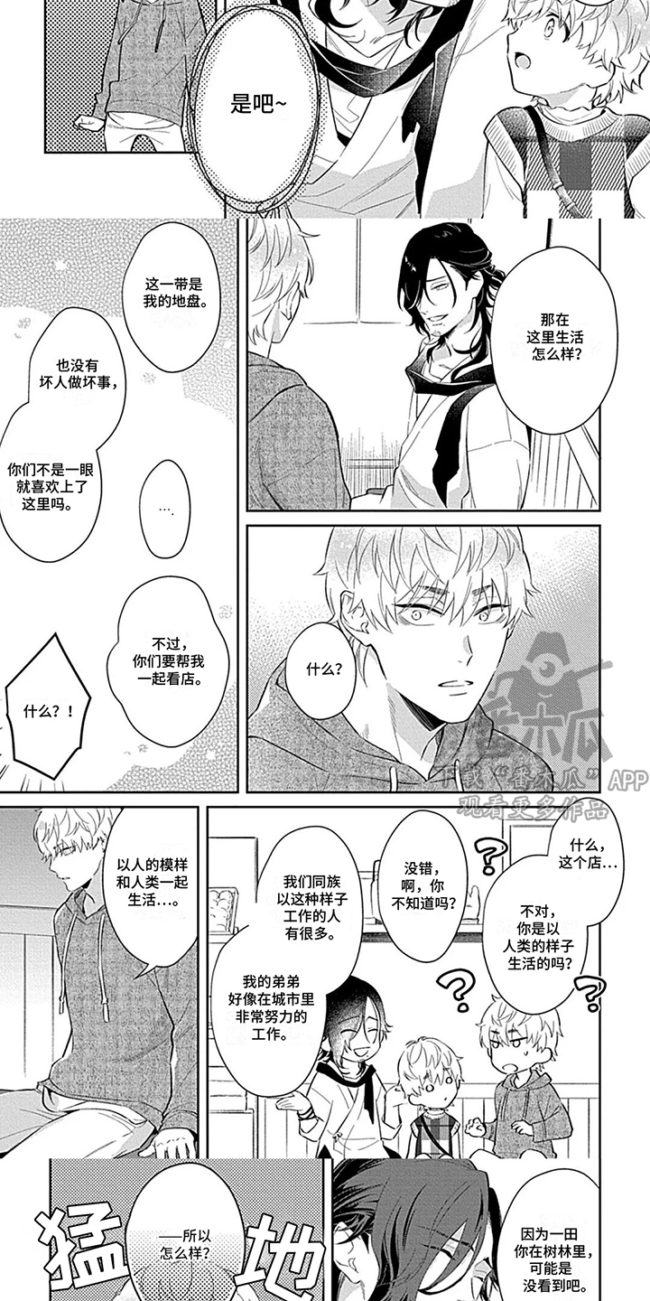 第7话：第7章：状态不对预览分镜