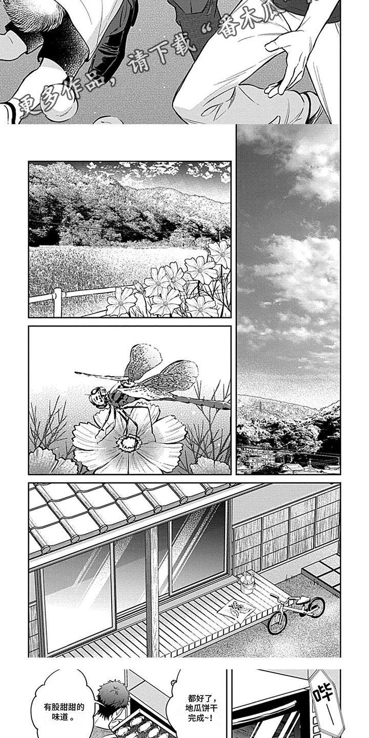 第11话：第11章： 雨过天晴预览分镜