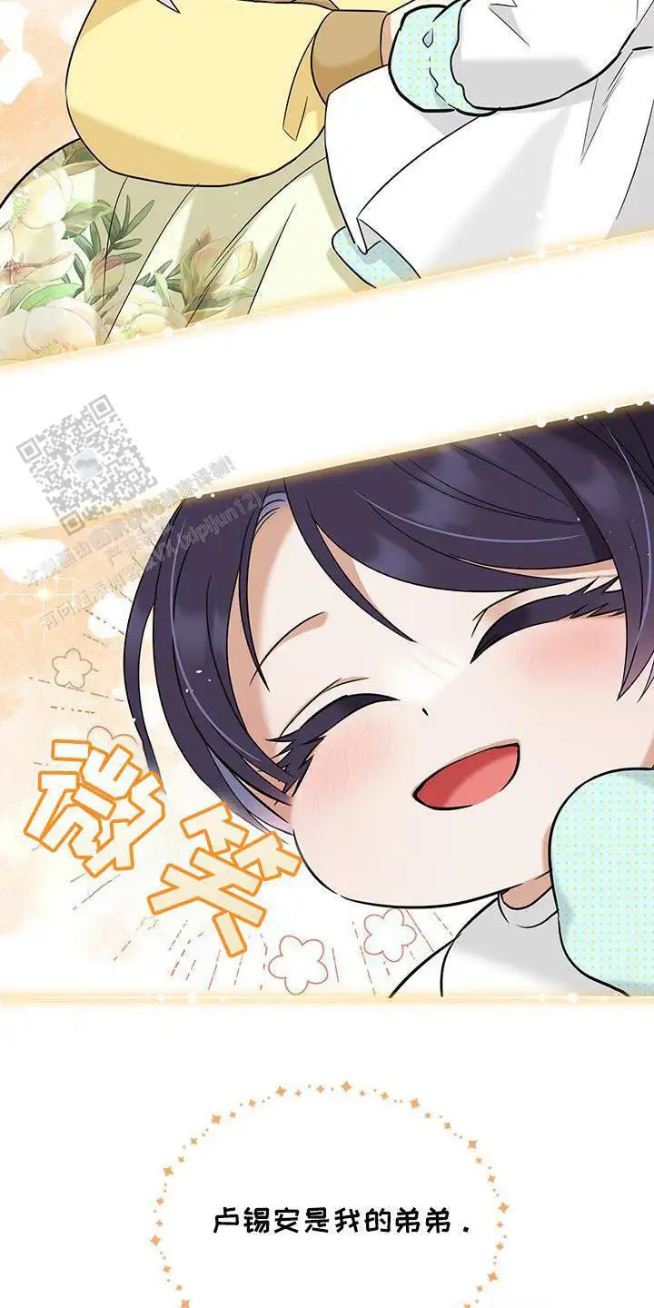 撒狗粮