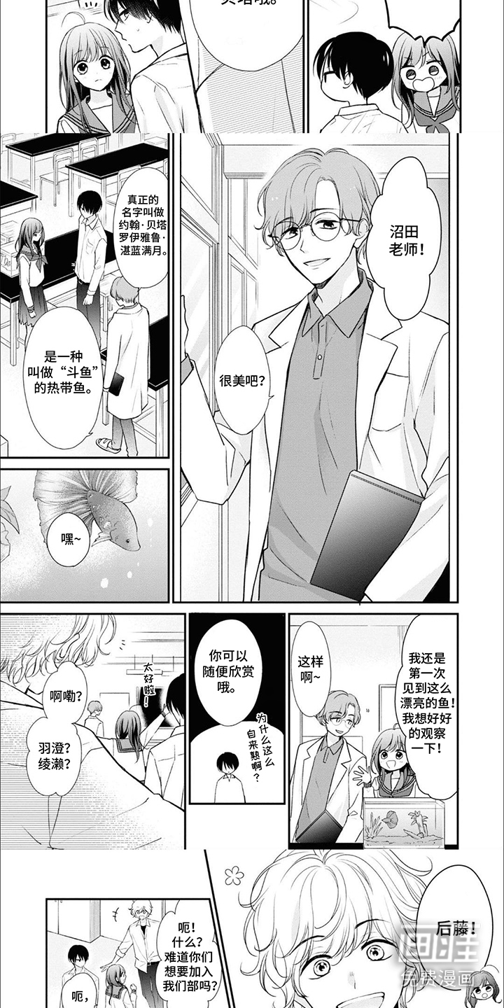 第5话：第5章：热带斗鱼预览分镜
