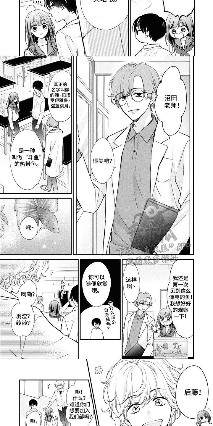 第5话：第5章：热带斗鱼预览分镜
