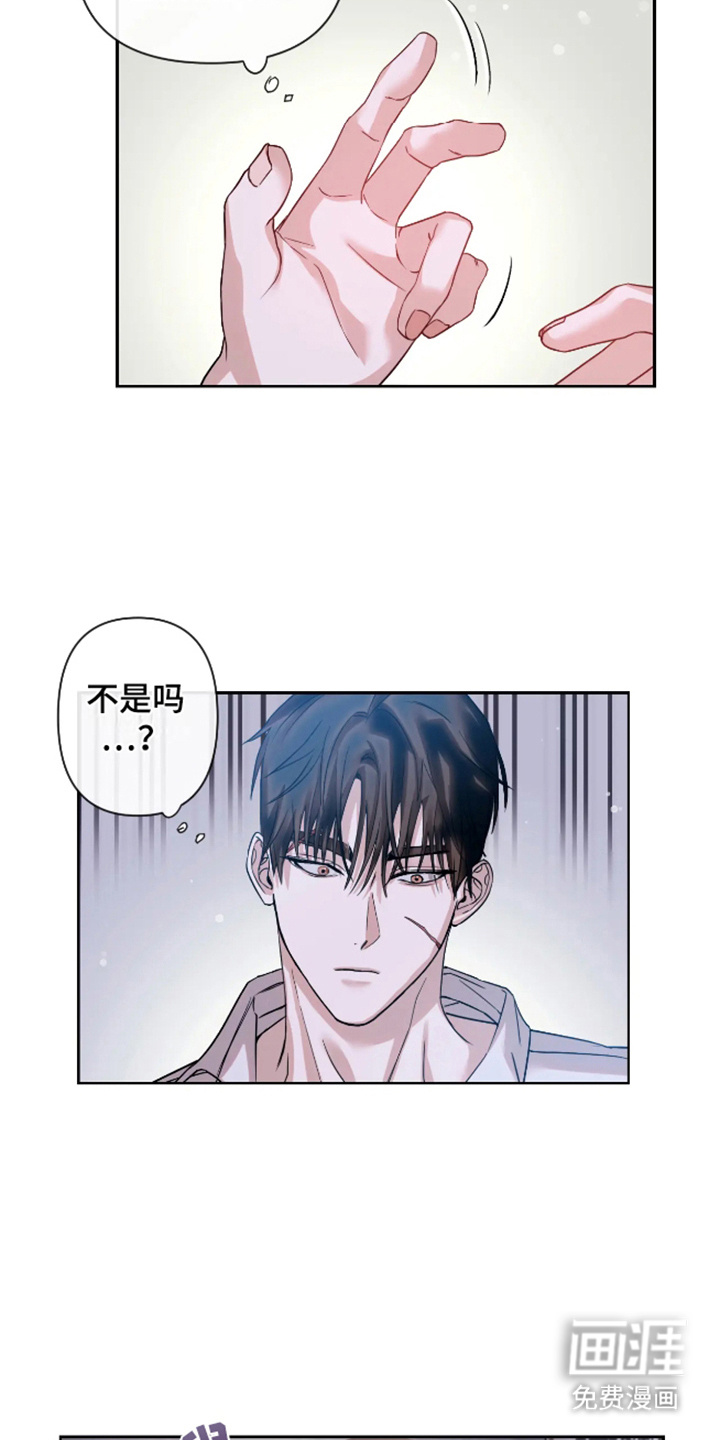 第6话：第6章：倾注爱意（完结）预览分镜