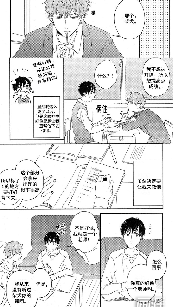 第12话：第12章：情侣教学预览分镜