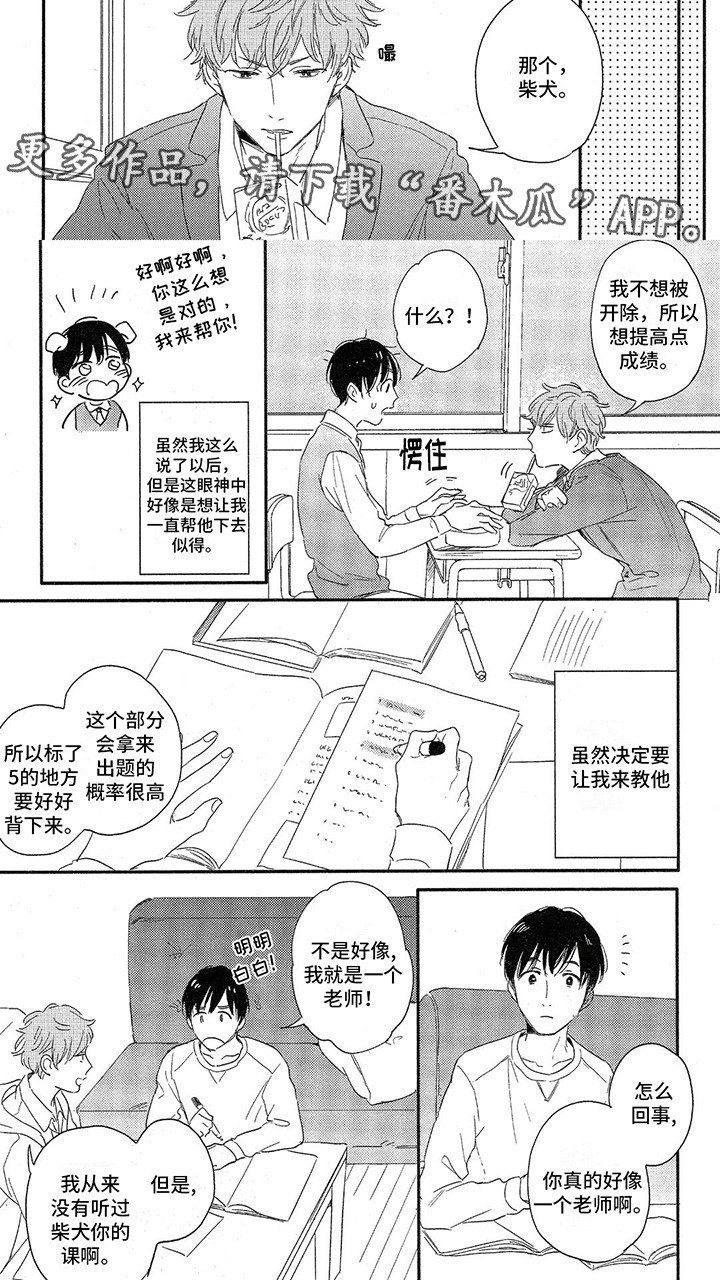 第12话：第12章：情侣教学预览分镜