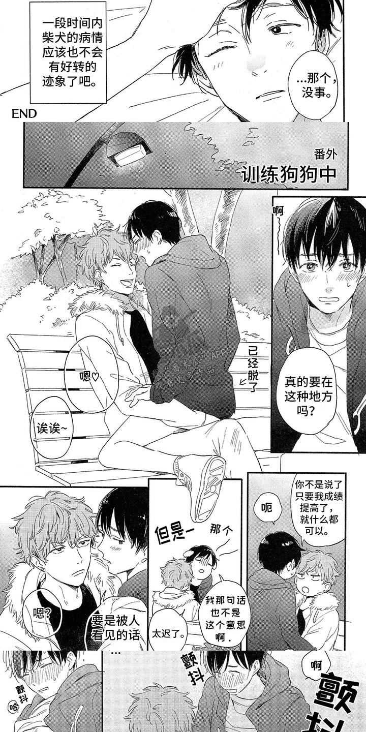 第15话：第15章：小树林预览分镜