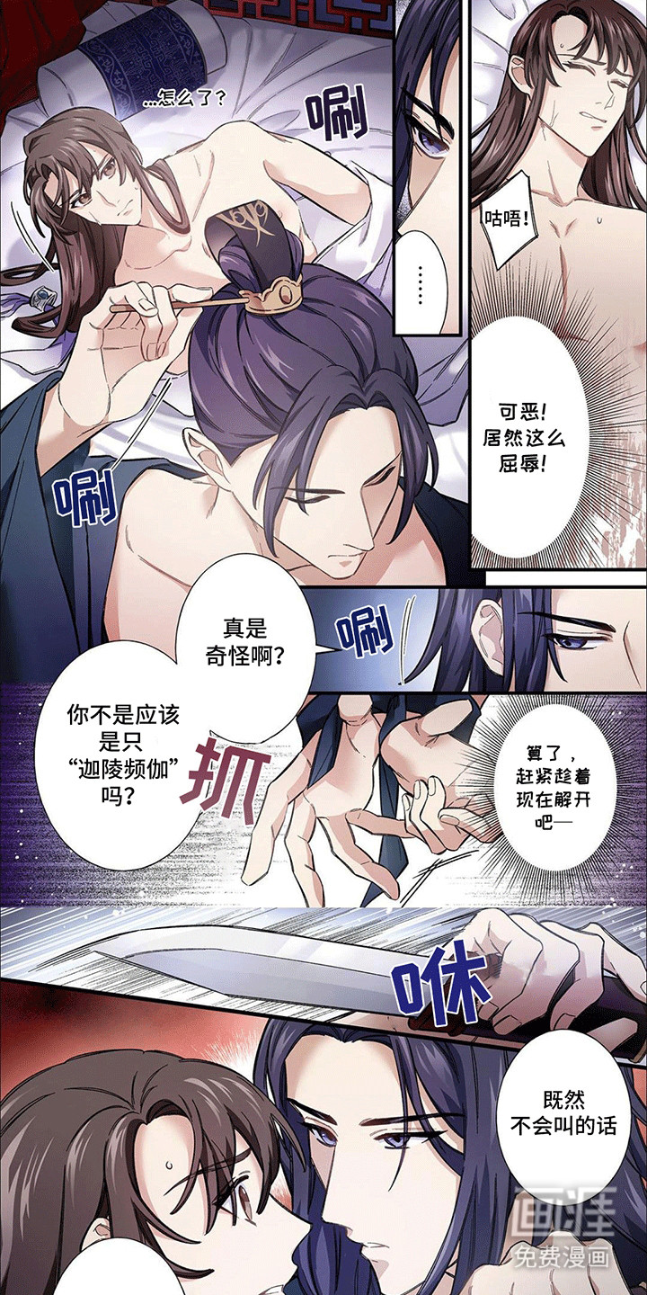 第3话：第3章：三个月预览分镜