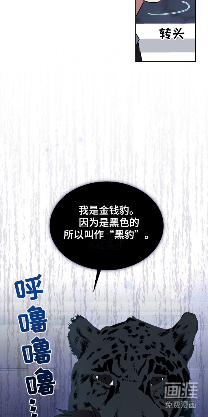 第10话：第10章：被摆了一道预览分镜