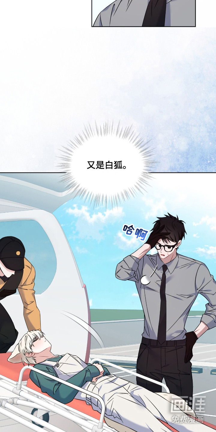 第11话：第11章：逃跑了预览分镜