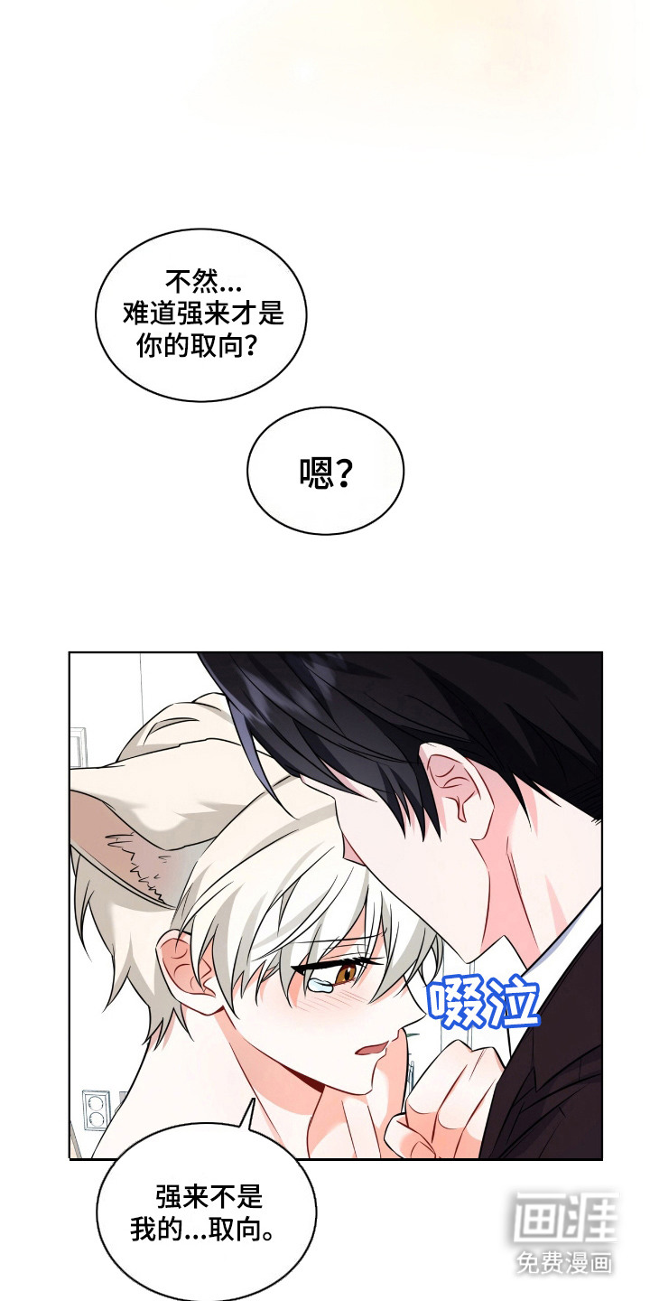 第17话：第17章：互相利用预览分镜