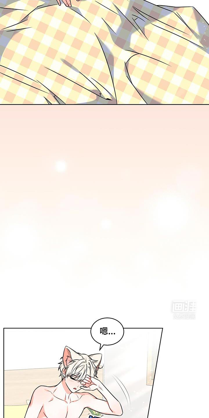 第18话：第18章：祝贺你预览分镜