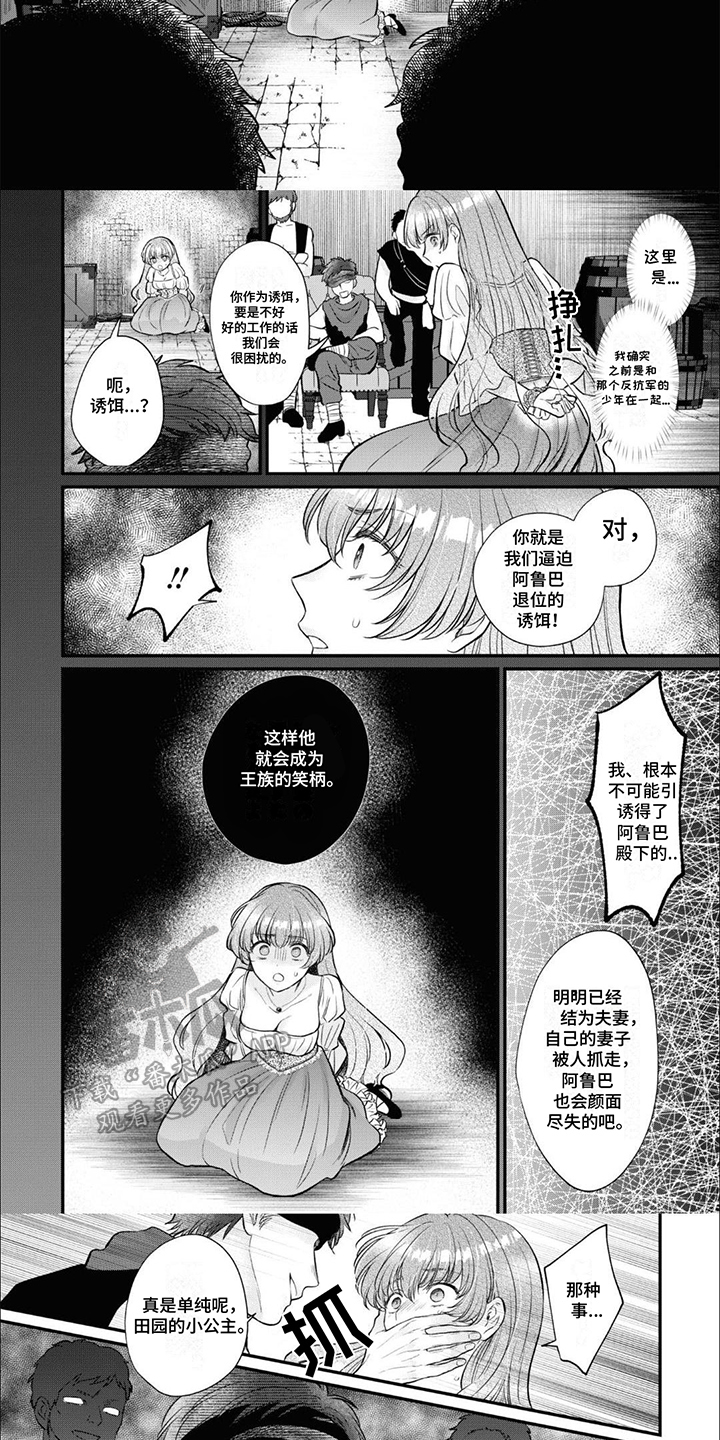 第14话：第14章：公主的义务：绑架预览分镜