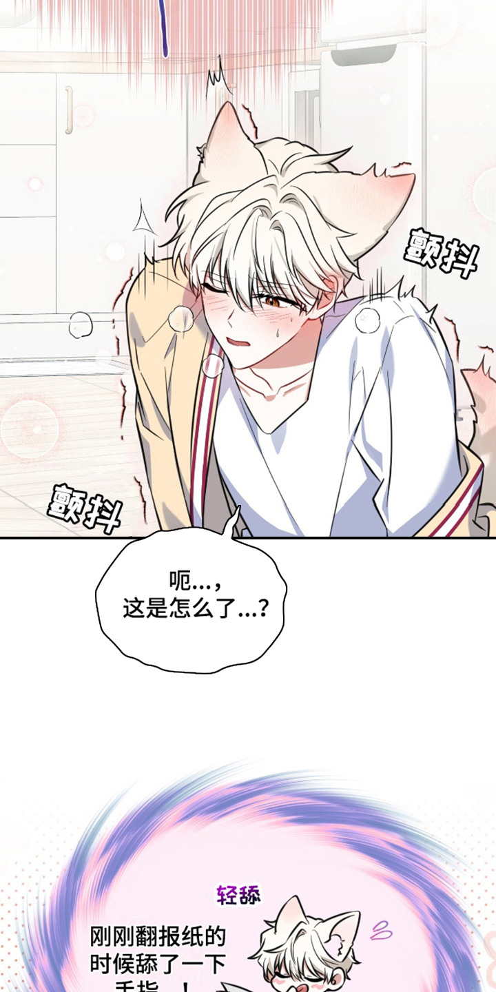 第4话：第4章：视线预览分镜